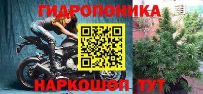 дживик Будённовск
